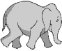 elephant.gif - 6692 Bytes