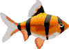 fish2.gif - 13009 Bytes