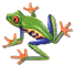 frog.gif - 5012 Bytes