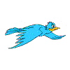 animated bird
